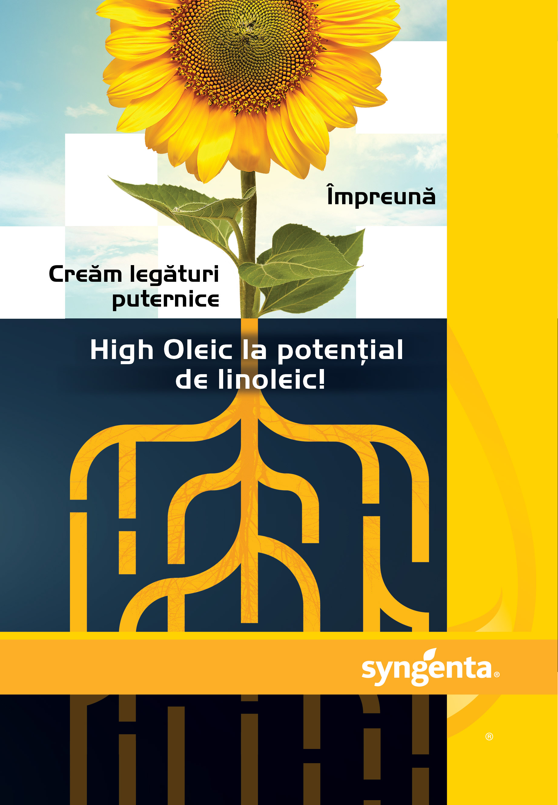 Împreună creăm legături puternice