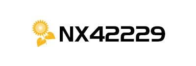 Logo NX42229