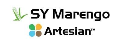 Logo-uri SY Marengo și Artesian pe fundal alb.