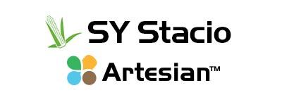 Logo SY Stacio Artesian, text negru și simbol cu patru picături colorate.