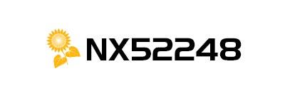 Logo cu panglică galbenă și textul „NX52248” pe fundal alb