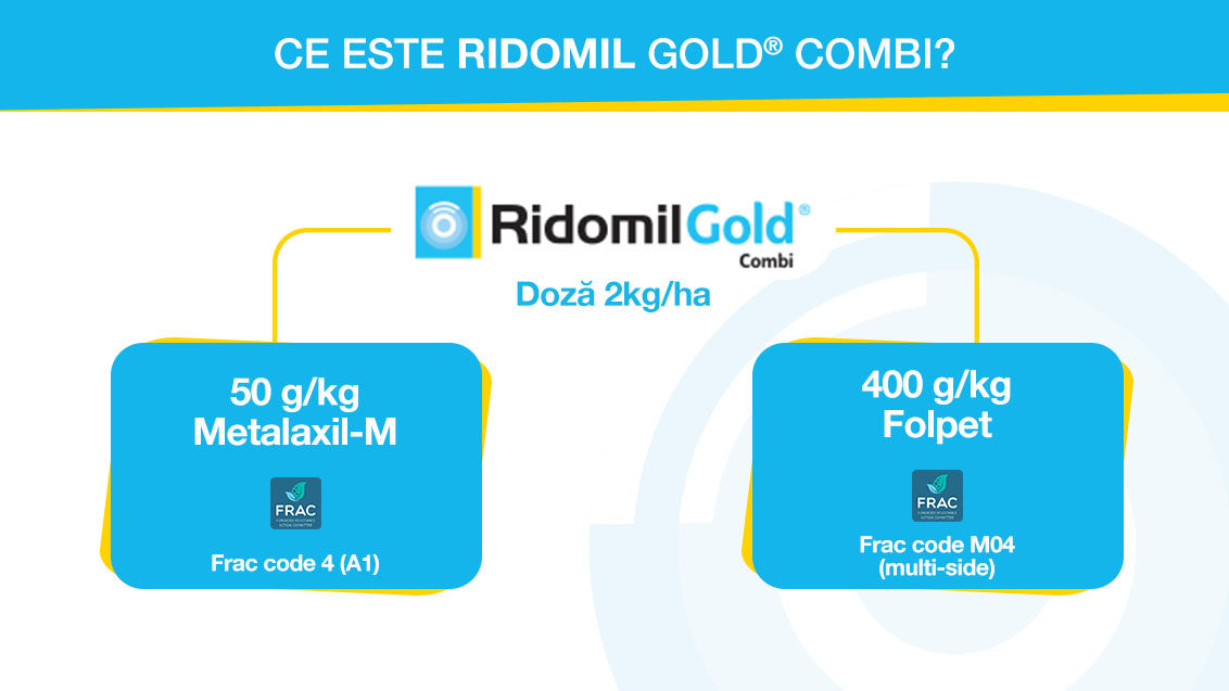 ridomil_gold_mostenire_1132x637px_1.jpg