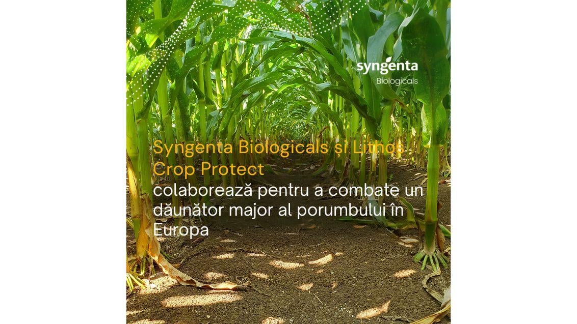 News Image Syngenta Biologicals si Lithos Crop Protect 1132x637