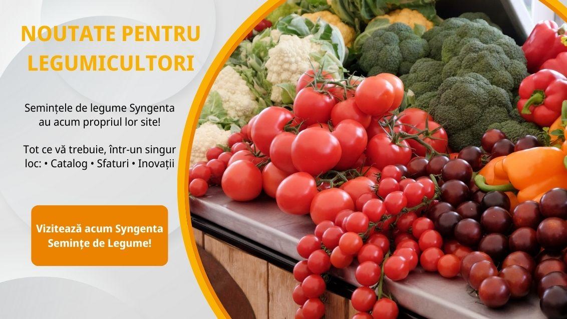 Syngenta Seminte de legume website
