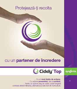 cidely top, fungicid, fainare, boli foliare, patarea frunzelor, putregaiul tulpinii
