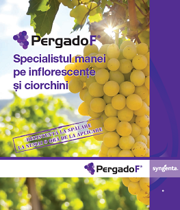 fungicid, pergado f, syngenta, ciorchine, mana, preventiv, curativ, vita de vie, struguri