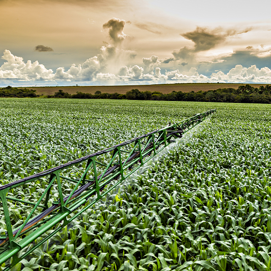 Agricast Syngenta Prognoza Home Page