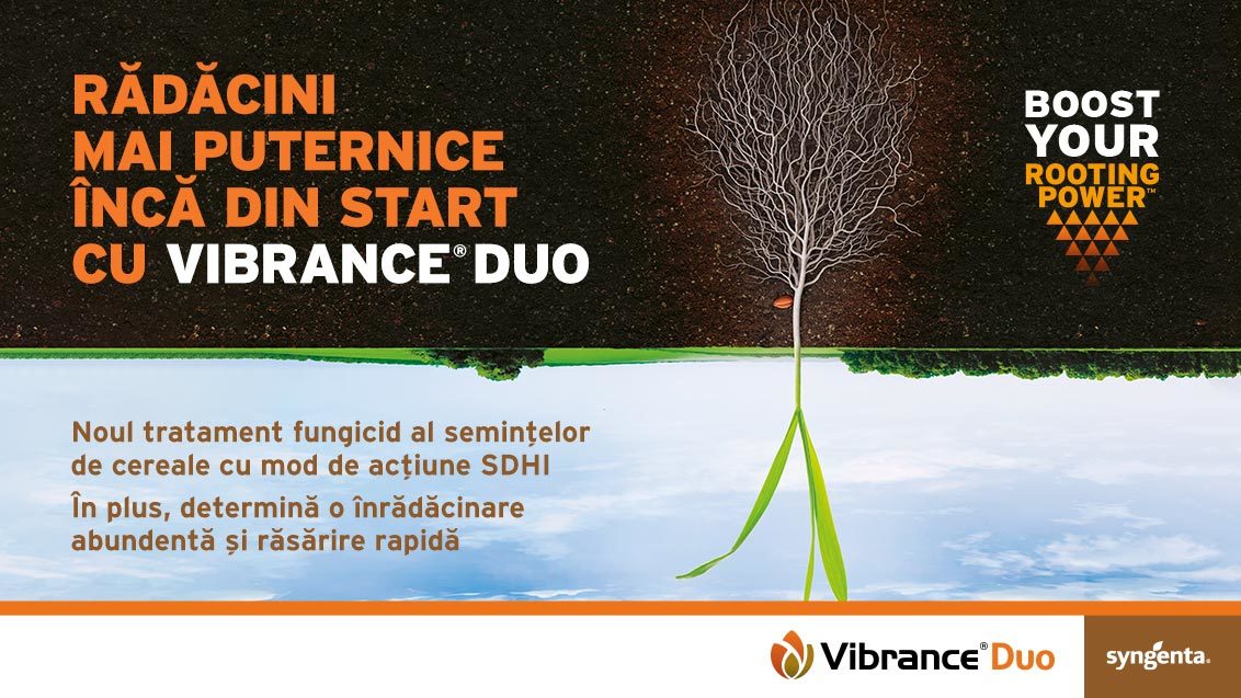 Banner Vibrance Duo, 2023