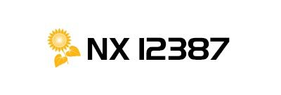 NX12387