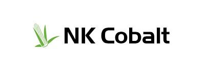 Banner NK Cobalt Seminte Porumb