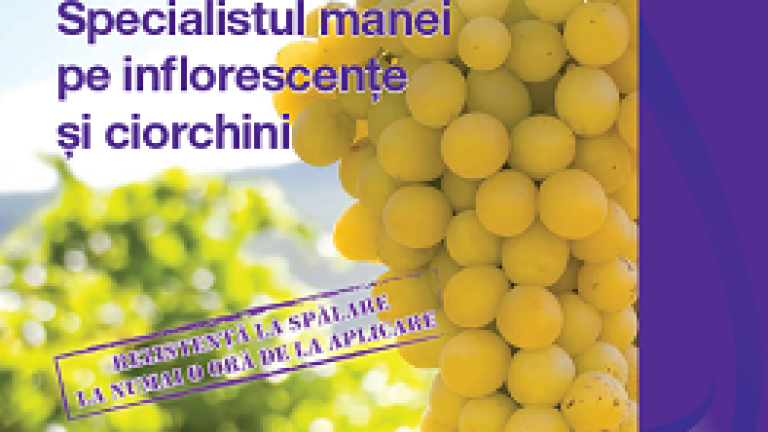 fungicid, pergado f, syngenta, ciorchine, mana, preventiv, curativ, vita de vie, struguri