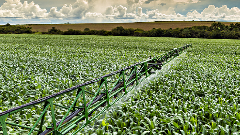 Agricast Syngenta Prognoza Home Page