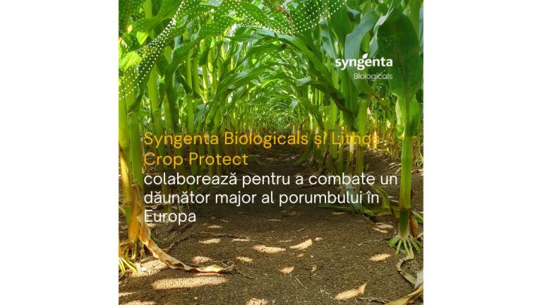 News Image Syngenta Biologicals si Lithos Crop Protect 1132x637
