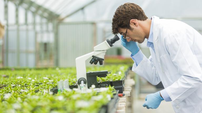 Syngenta Biologicals Article Image Intrinsyx Bio