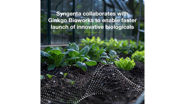 Syngenta Ginko Bioworks Collaboration Image News