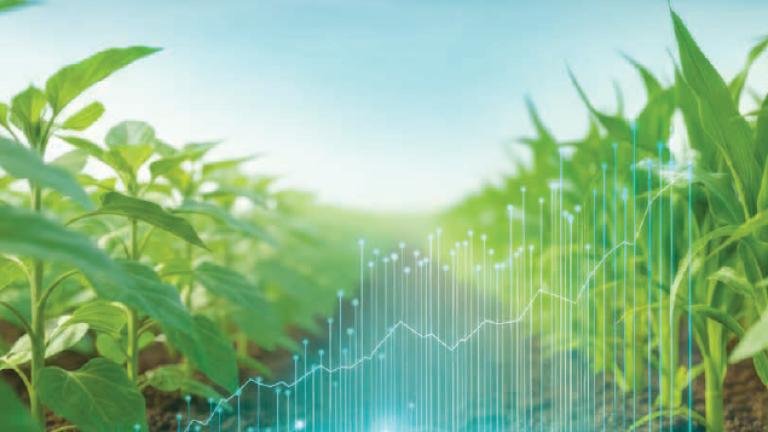 Banner Catalog Digital Syngenta Seminte 2026