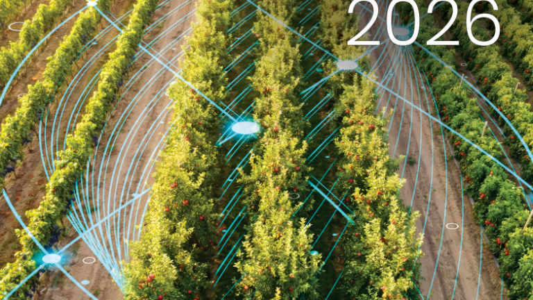 Imagine Catalog Horticultura 2026