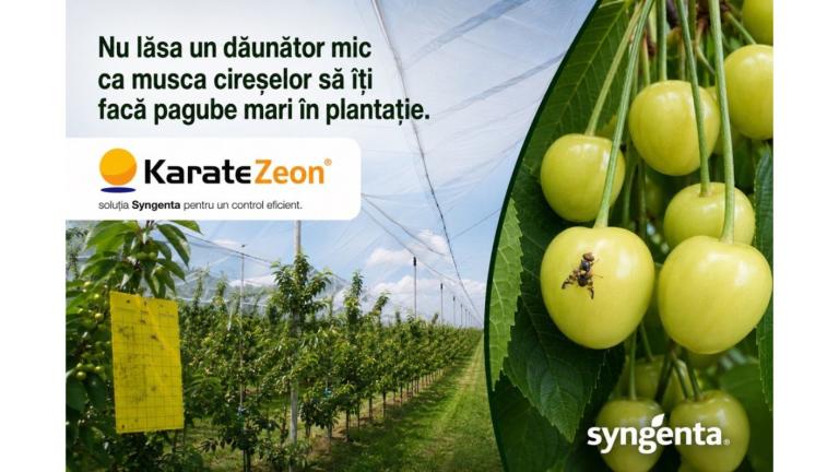Karate Zeon_musca cireselor