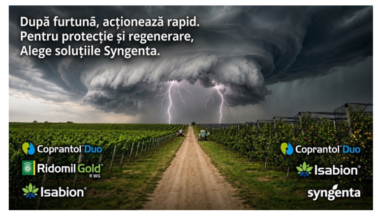 Drum spre furtună cu tornadă; text promoțional Syngenta și logo-uri pe fundal negru.