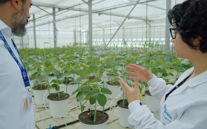 Imagine Articol Syngenta Consolideaza Pozitia de lide grobal produse biologice