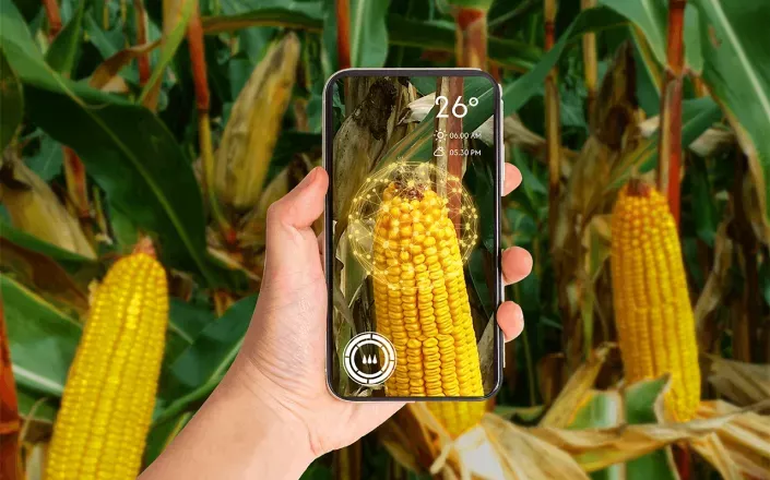 Cropwise Open Platform Image News Article Romania