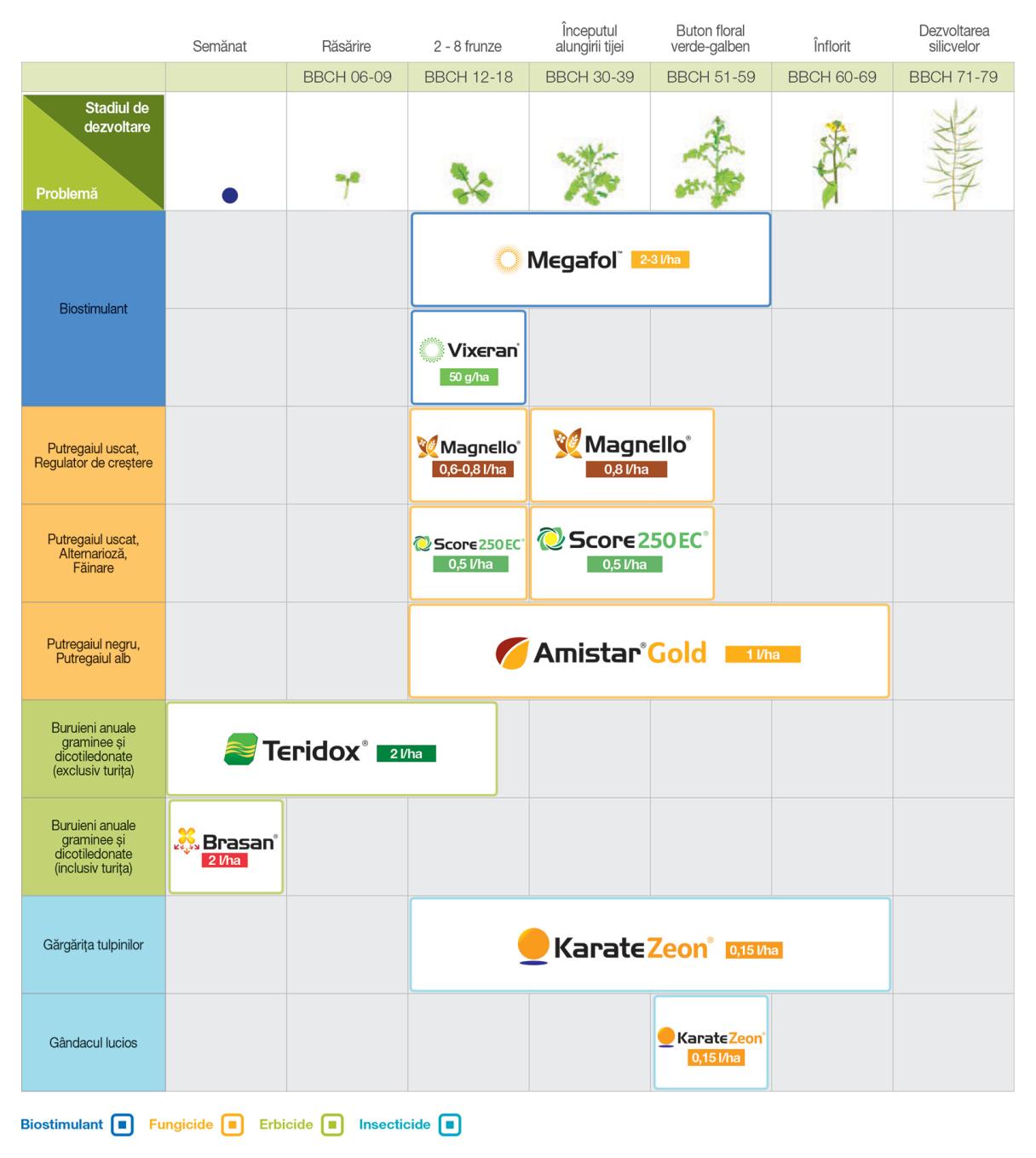 Program tehnologic rapita