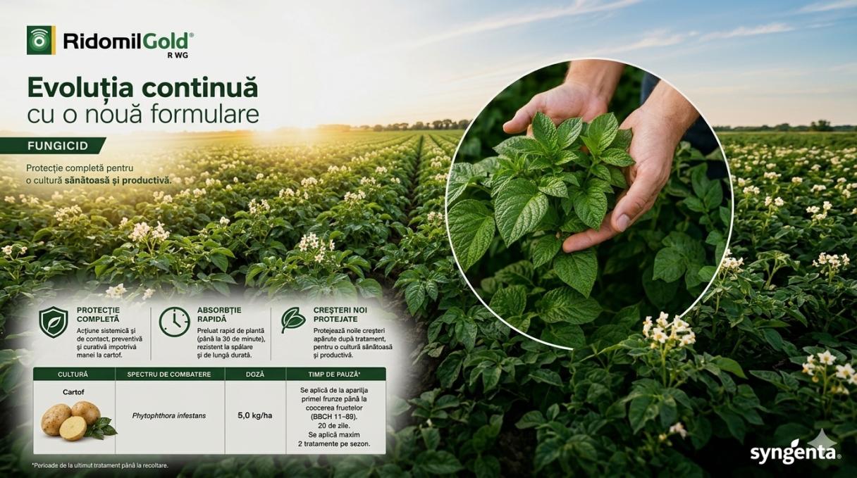 Ridomil Gold R_articol_evolutia continua cu o noua formulare