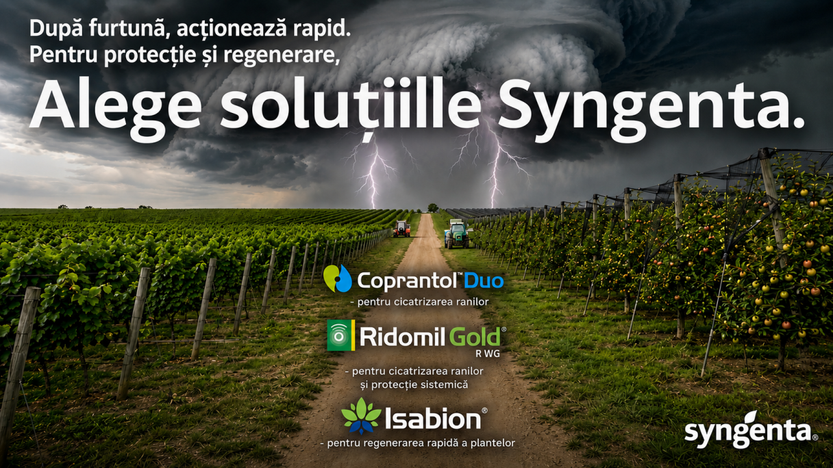 Solutii Syngenta