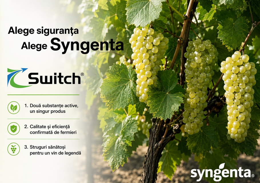 Afiș Syngenta: ciorchini de struguri verzi și lista Switch, 3 avantaje.
