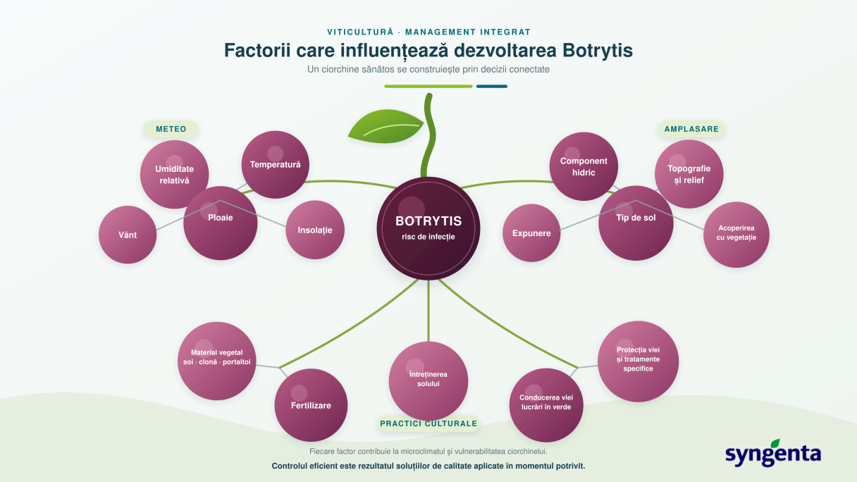 Grafic cu factori ai influenței asupra dăunătorului Botrytis; logo Syngenta.