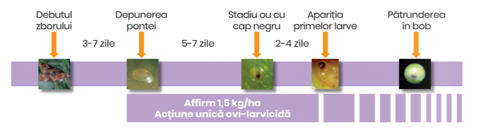 Actiune unica Affirm