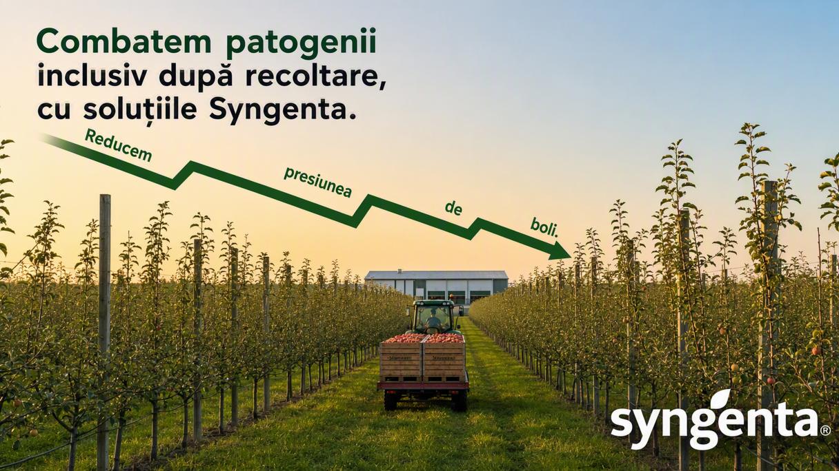 Combatem patogenii dupa recoltare