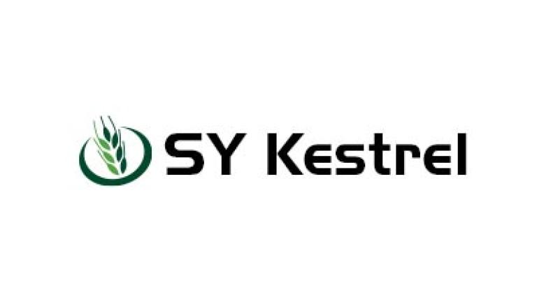 SY KESTREL LOGO SITE