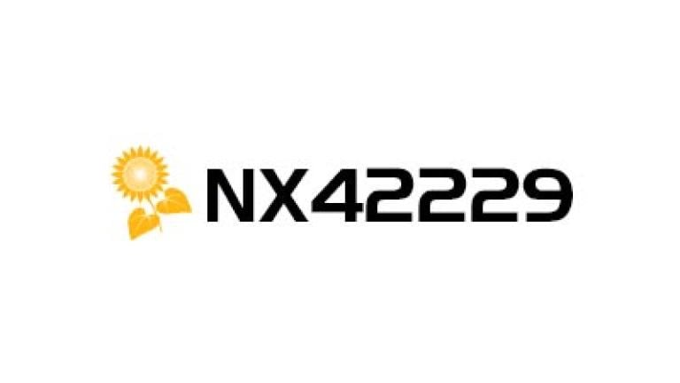 Logo NX42229