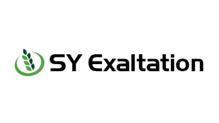 Logo SY Exaltation cu frunză verde și text negru pe fundal alb