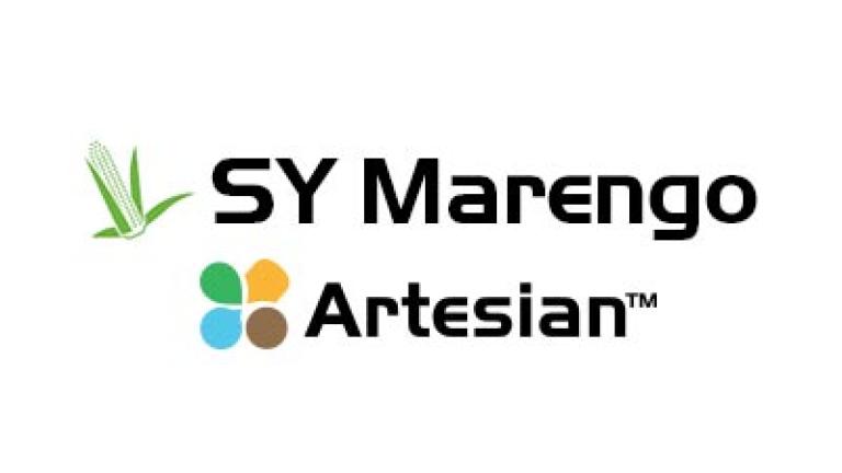 Logo-uri SY Marengo și Artesian pe fundal alb.