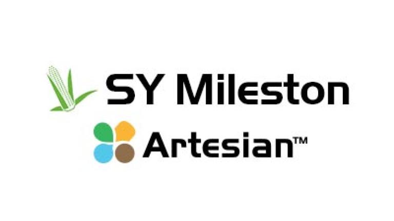 Logo SY Mileston Artesian, cu frunze verzi și puncte colorate.
