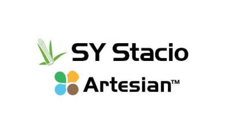 Logo SY Stacio Artesian, text negru și simbol cu patru picături colorate.