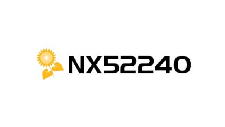 Logo NX52240 cu panglică galbenă pe fundal alb
