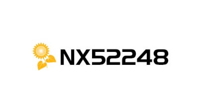 Logo cu panglică galbenă și textul „NX52248” pe fundal alb