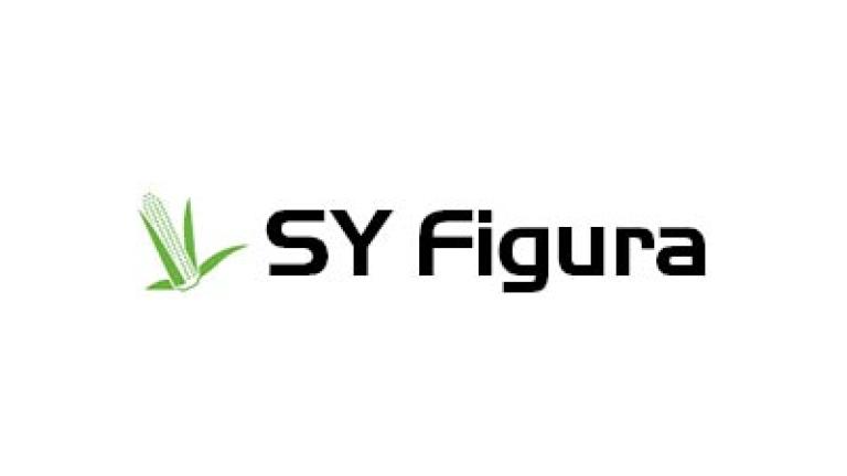 Logo SY Figura cu o frunză verde stilizată